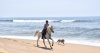Horse Beach Riding Vacation NSW Australia