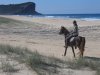 Australian Horse Trekking Holidays Port Macquarie Beaches NSW