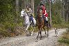Horse Riding Gallop Through Australian NSW North Coast Forests 