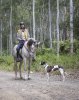 Australian Horse Trek Tour Guide With Dog Support