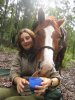 Copper - Friendly Australian Trail Horse