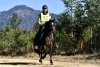 Endurance Riding NSW Australia (PC:Animal Focus)