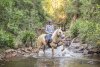 Finesse - Horse Riding Holidays Australia Port Maquarie Hinterland NSW