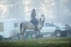 Jimmy - Southern Cross Horse Treks Australia Endurance Horse Riding NSW 