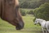 Horse Riding Farm - Riding Adventure Holiday Australia