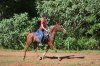 Aliya - Australian Arabian Horse Riding Holidays Port Macquarie Hinterland NSW