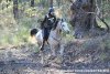 Endurance Horse Riding Adventures - Southern Cross Horse Treks Australia