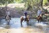 Creek Crossing Small Group Horse Riding Holiday Tours NSW Australia