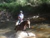 Australian Horse Riding Holiday Tours Creek Crossing Fun & Adventure