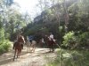 Mountain Horse Treks Australia Intermediate Riders NSW Sydney North Coast