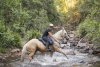 Creek Crossing Horseback Riding Tours NSW Australia